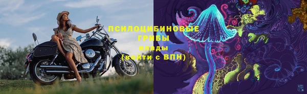 ГАЛЛЮЦИНОГЕННЫЕ ГРИБЫ Абдулино