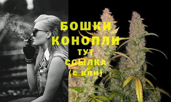 ГАЛЛЮЦИНОГЕННЫЕ ГРИБЫ Абдулино