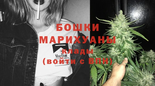 PSILOCYBIN Алексеевка