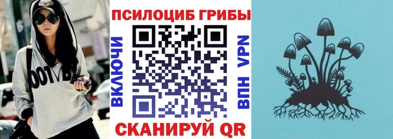 даркнет сайт Чебаркуль Галлюциногенные грибы ЛСД